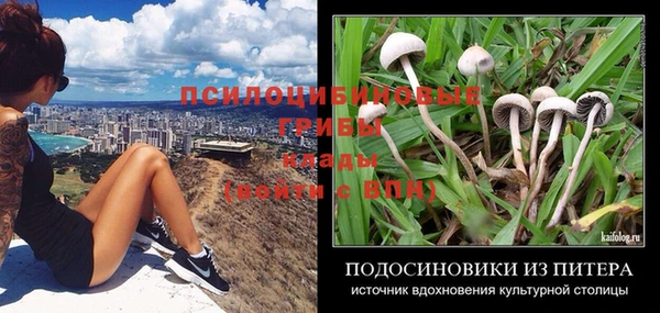 спайс Пестово