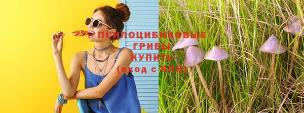 мяу мяу мука Абинск
