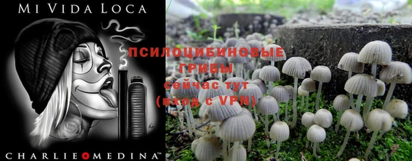 бошки Абаза