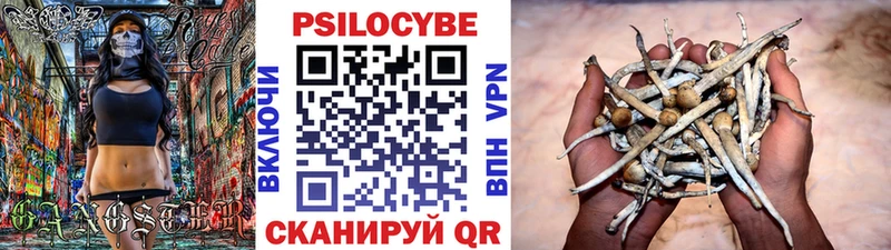 Псилоцибиновые грибы мухоморы наркотики Красавино